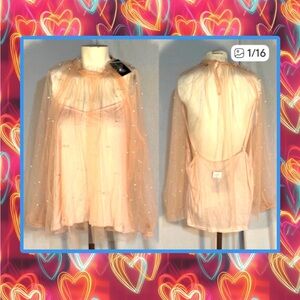 Sheer Blush High Collar Blouse Pearl Details 2XL